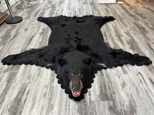 Black Bear Rug - #15366