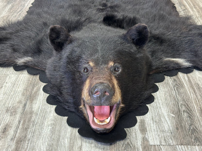 Black Bear Rug - #15366