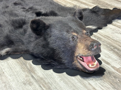 Black Bear Rug - #15366