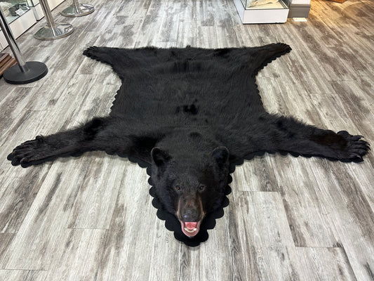 Black Bear rug - #15367