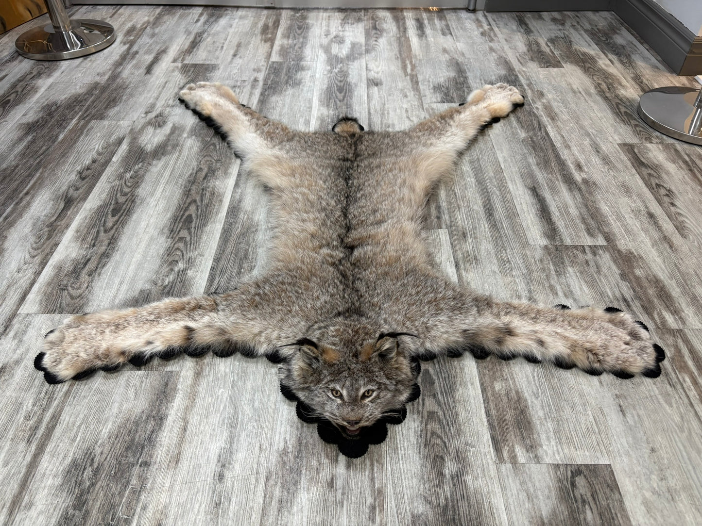 Rug - Canadian Lynx #15459