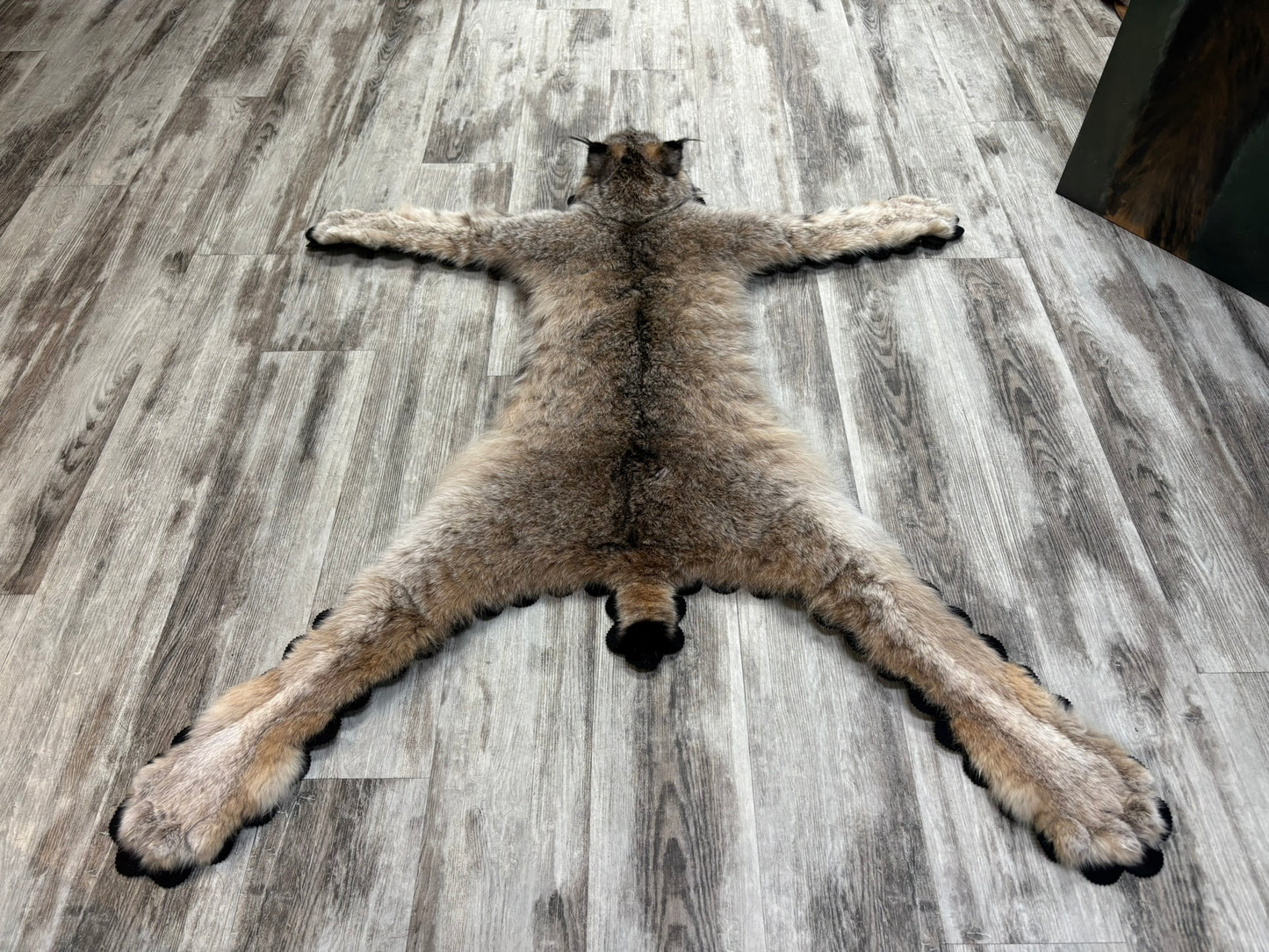 Rug - Canadian Lynx #15459