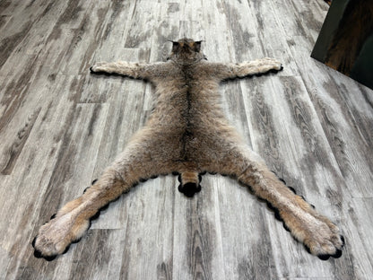 Rug - Canadian Lynx #15459