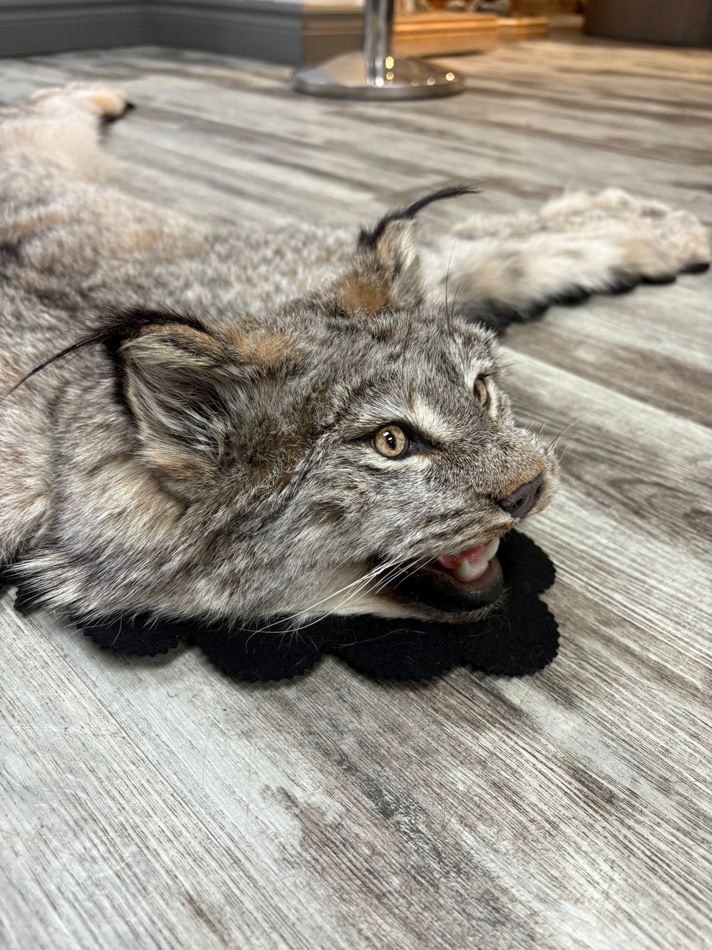 Rug - Canadian Lynx #15459