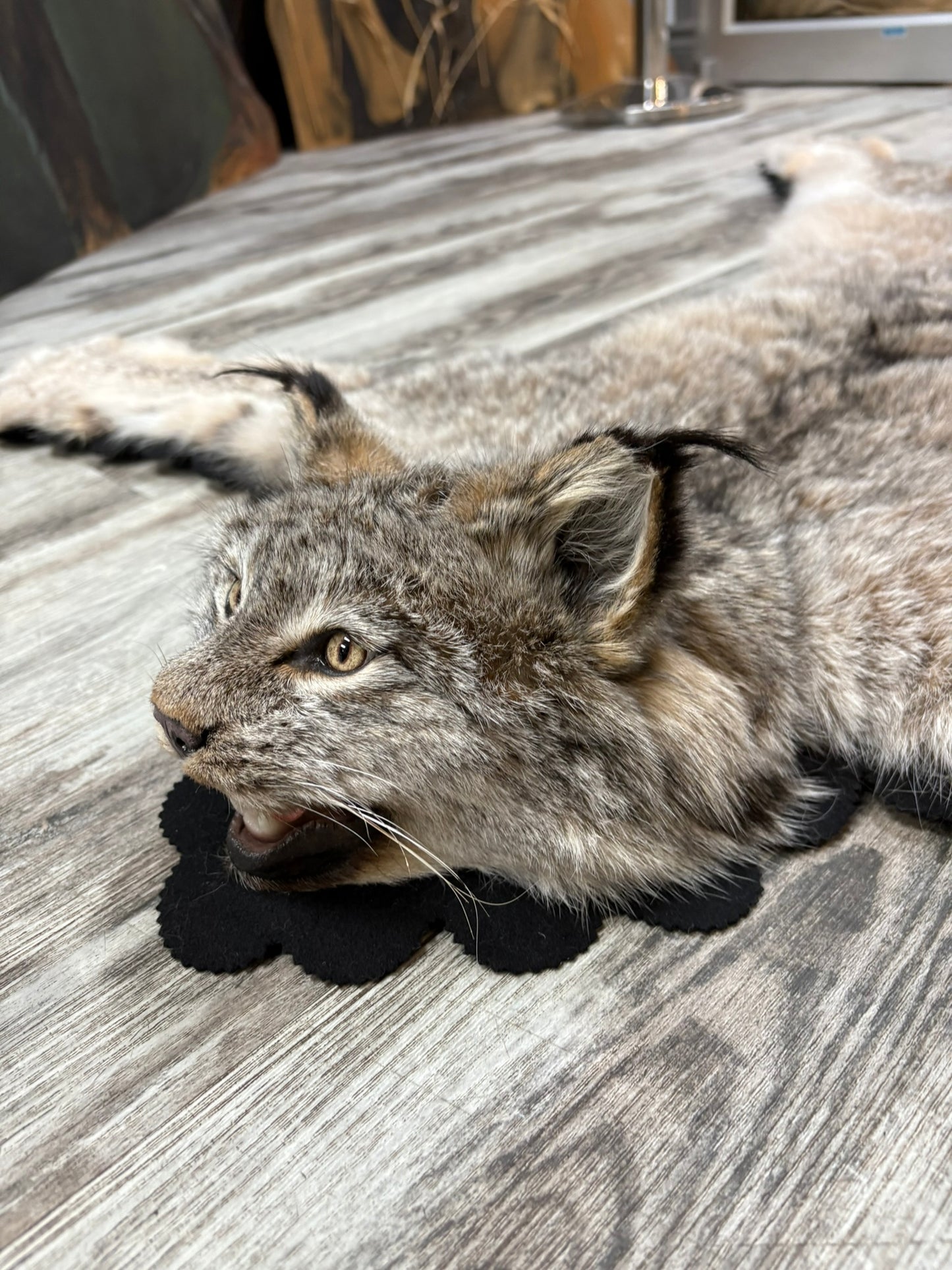 Rug - Canadian Lynx #15459