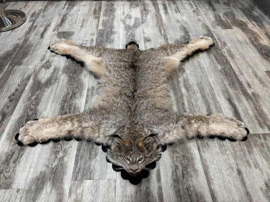 Rug - Canadian Lynx #15460