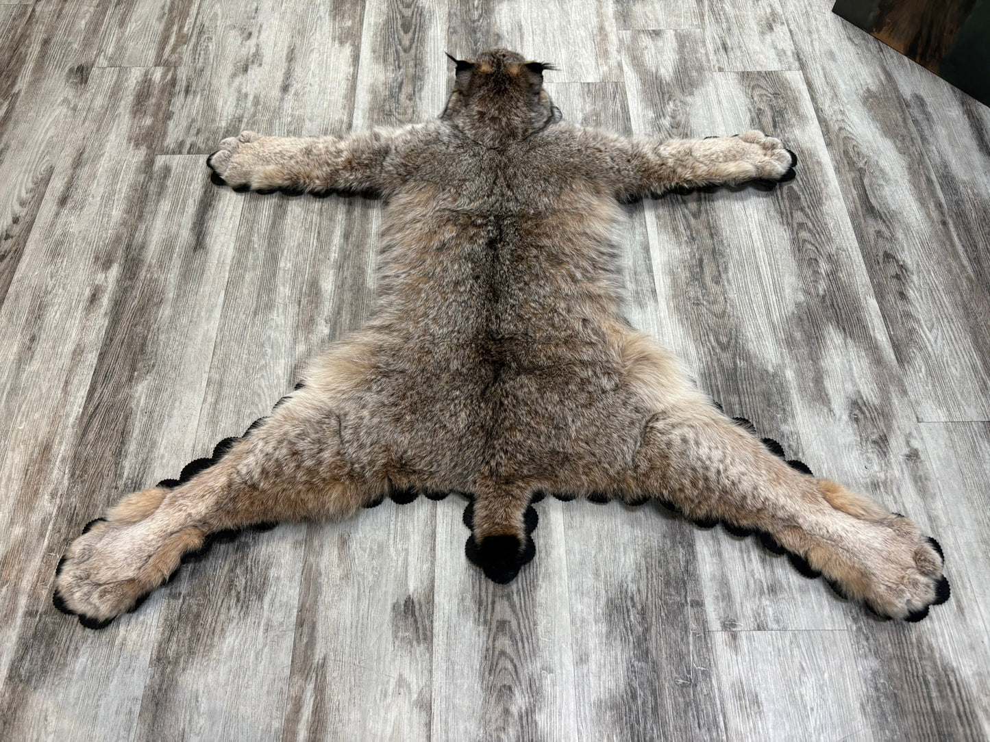 Rug - Canadian Lynx #15460