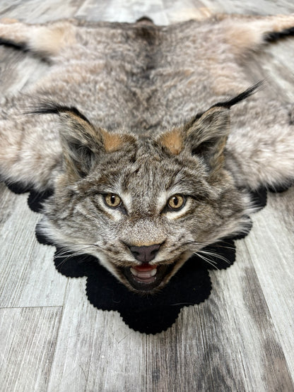 Rug - Canadian Lynx #15460