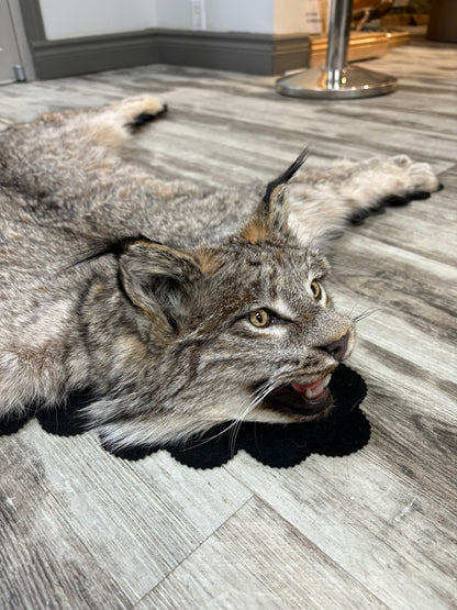 Rug - Canadian Lynx #15460