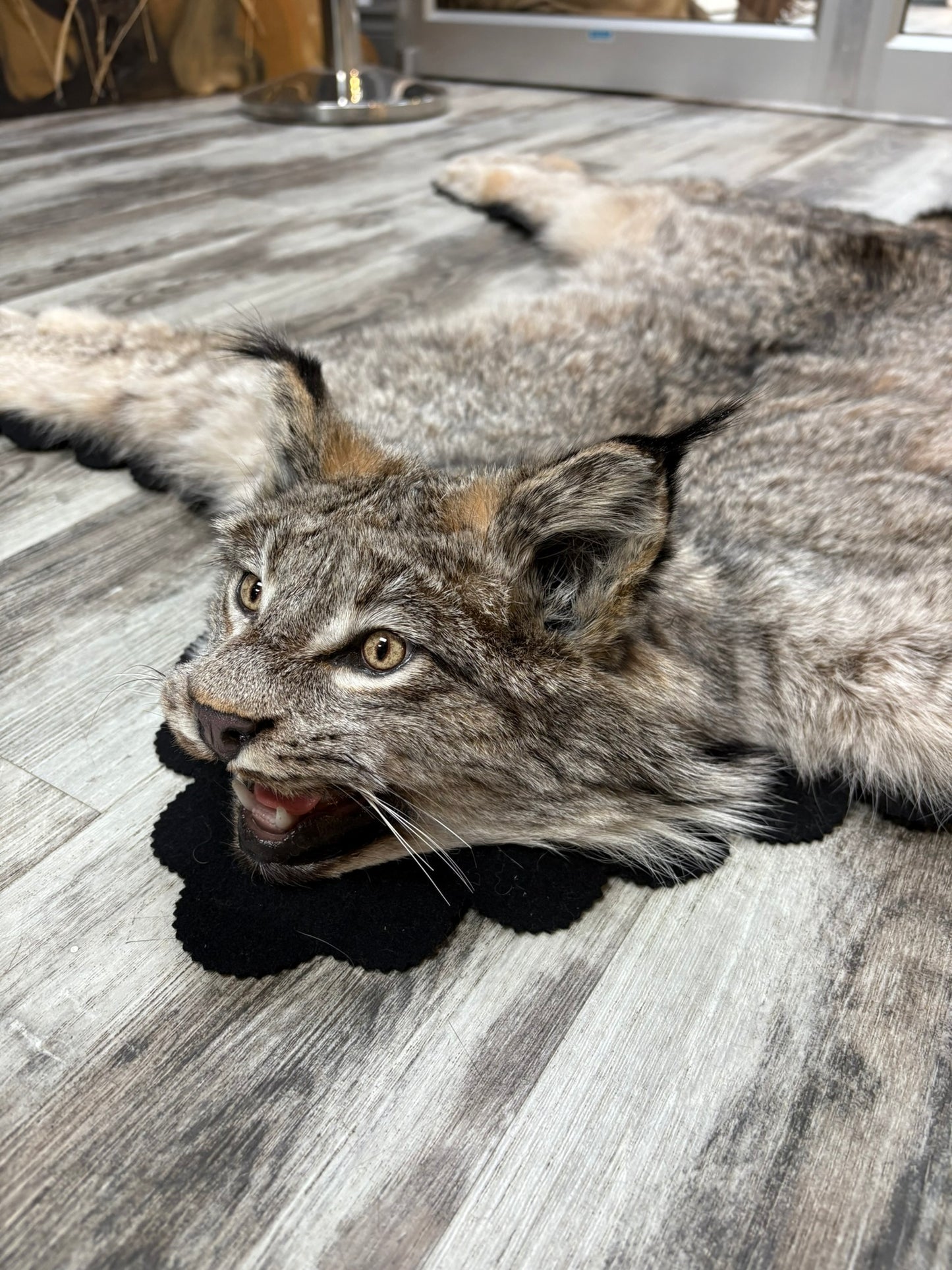 Rug - Canadian Lynx #15460