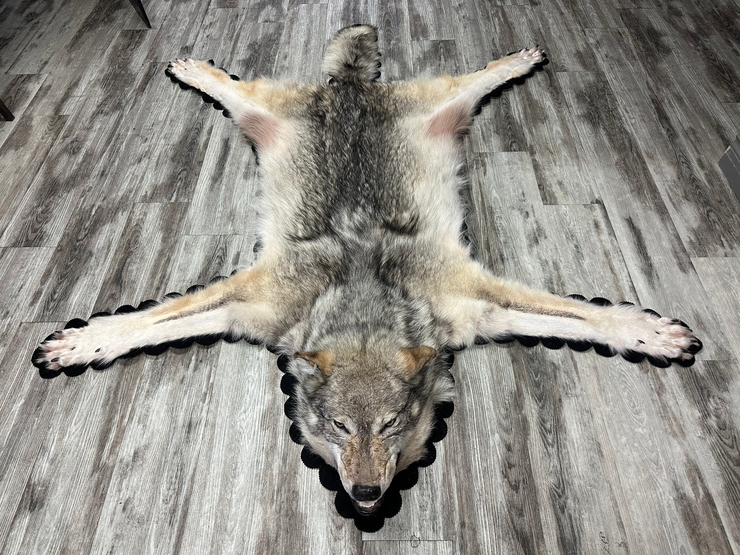 Rug - Arctic Wolf #16160