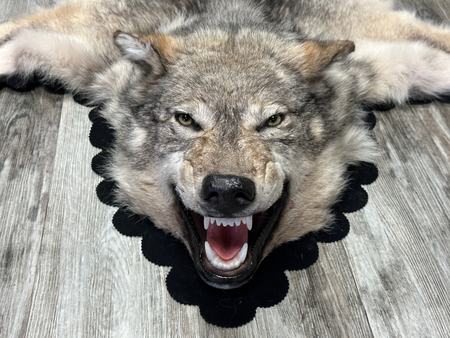 Rug - Arctic Wolf #16160