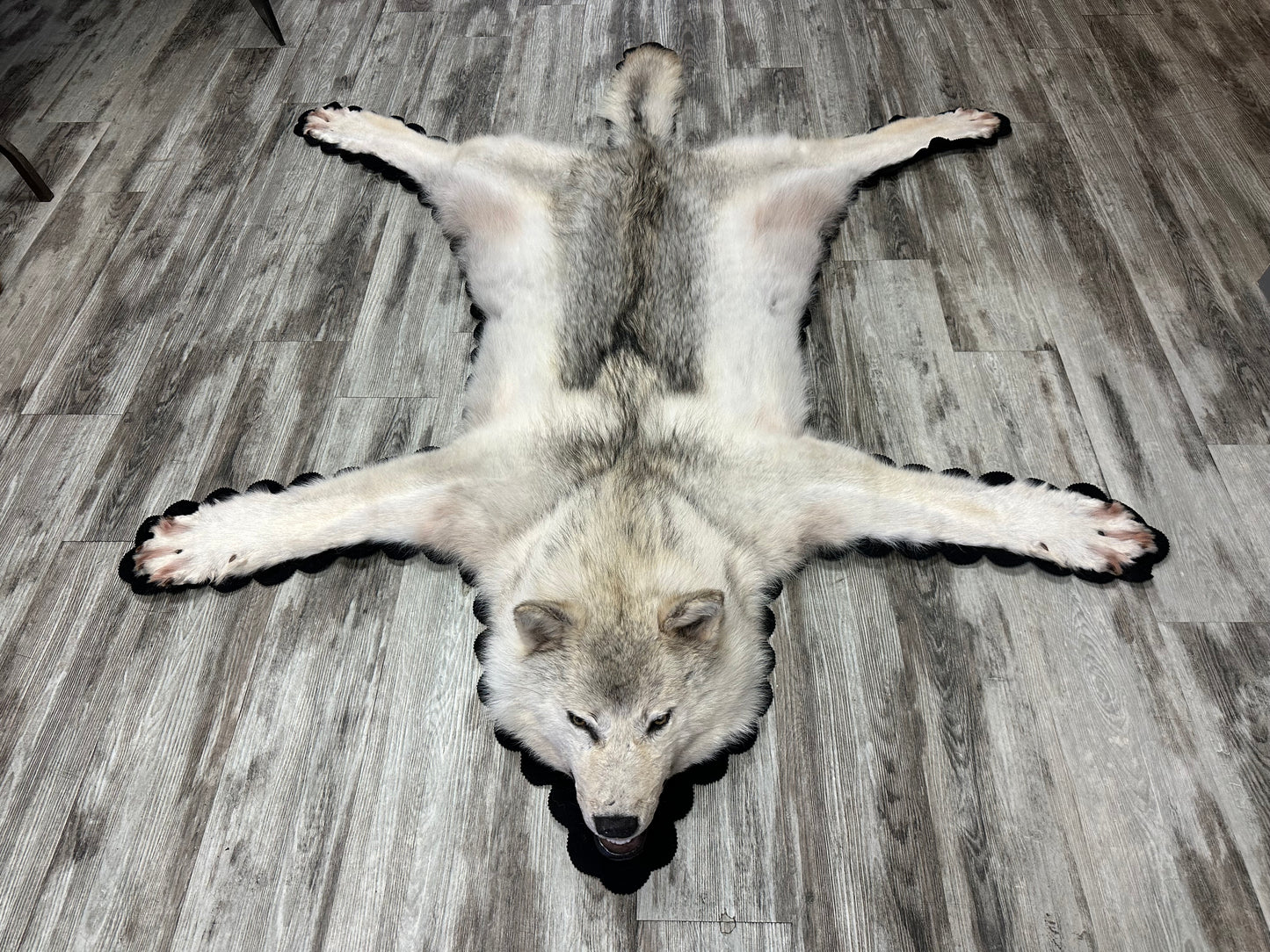 Rug - Arctic Wolf #16183