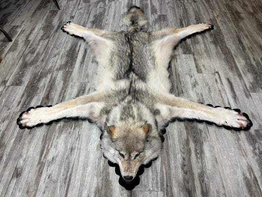 Rug - Arctic Wolf #16162