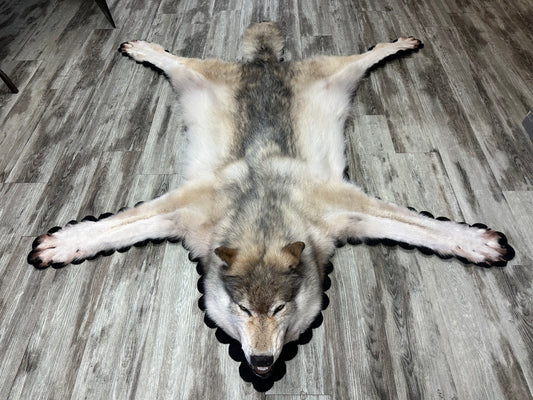 Rug - Arctic Wolf #16176