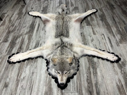 Rug - Arctic Wolf #16177