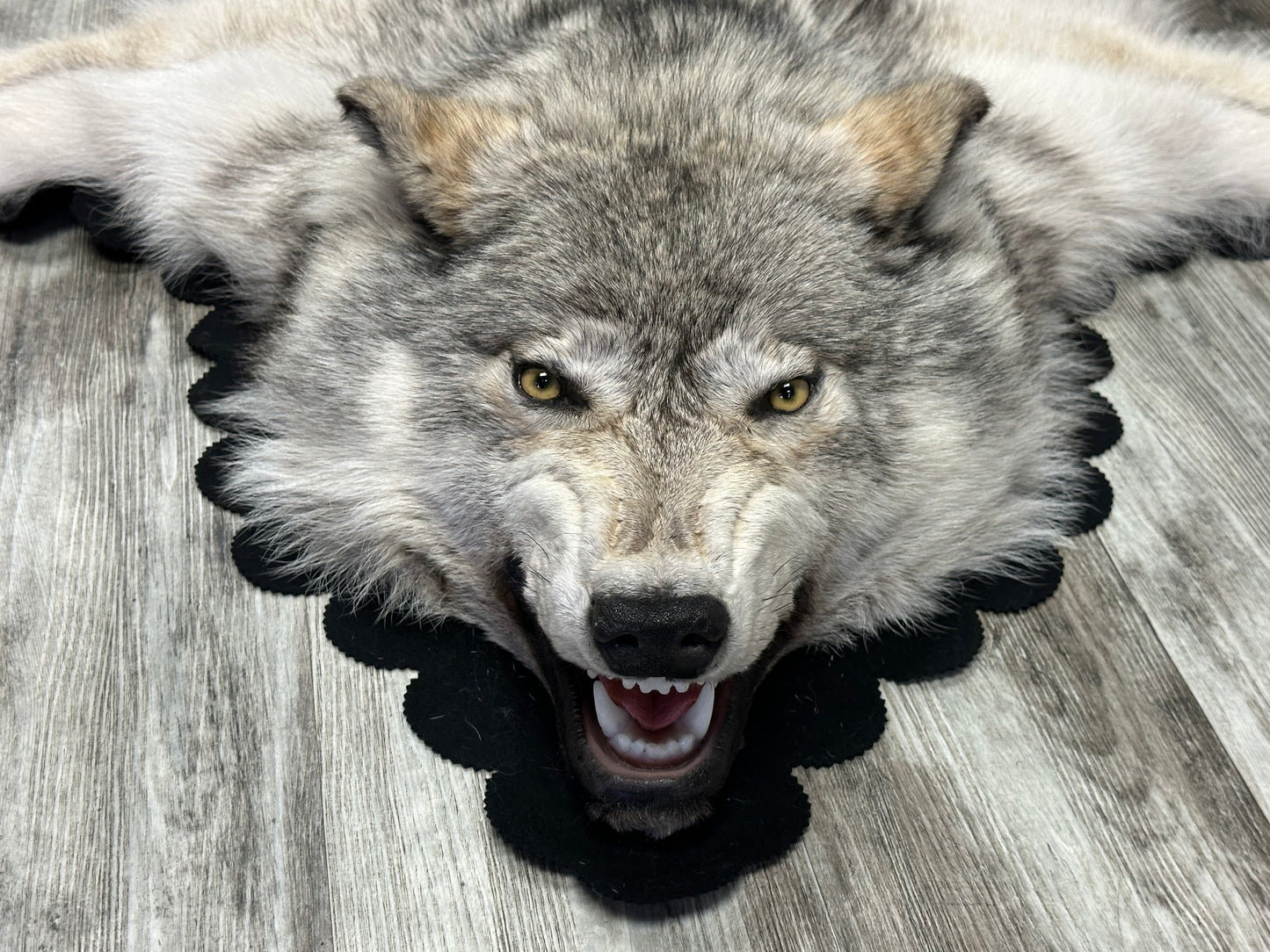 Tapis - Loup arctique #16177