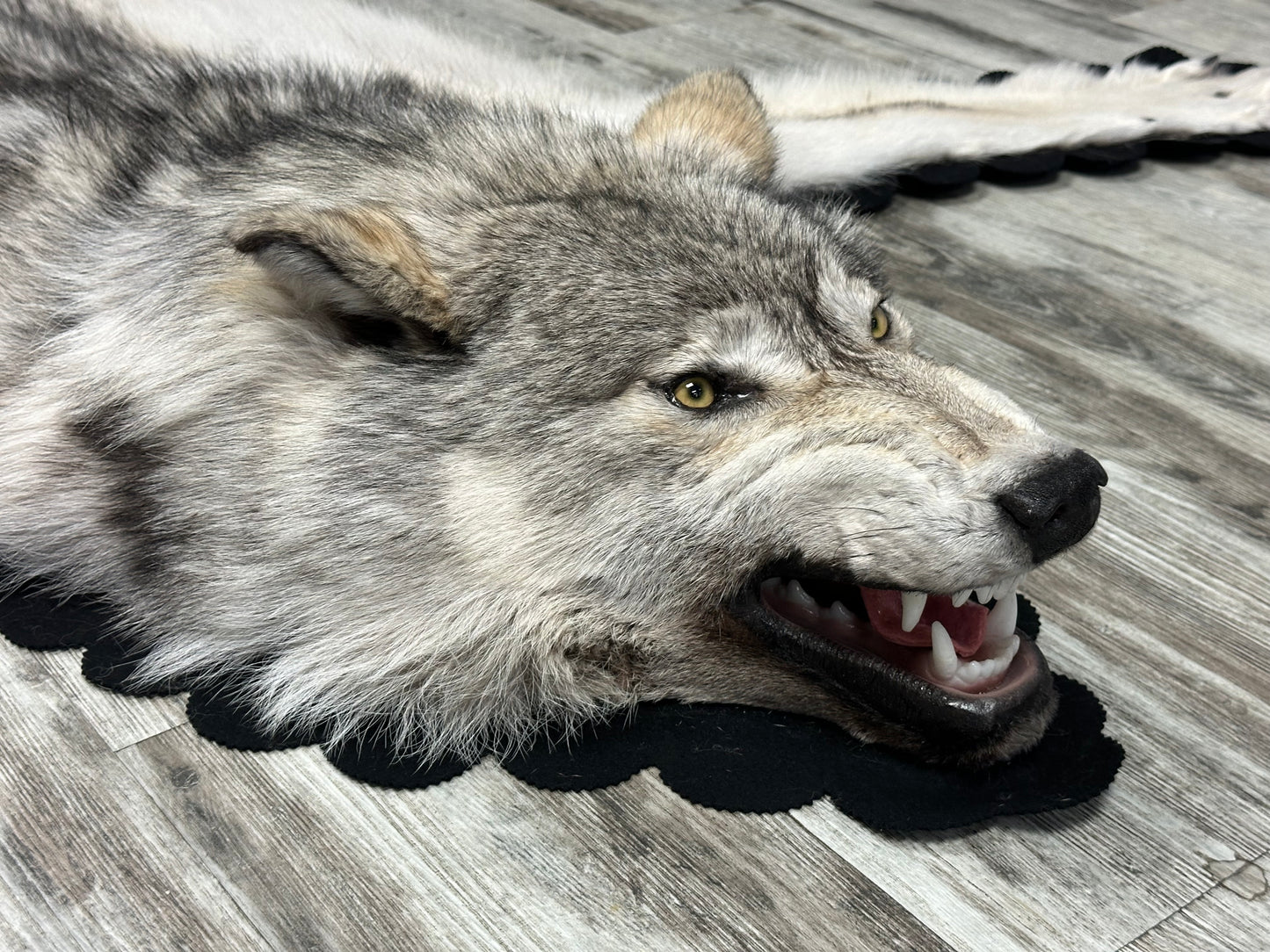 Tapis - Loup arctique #16177