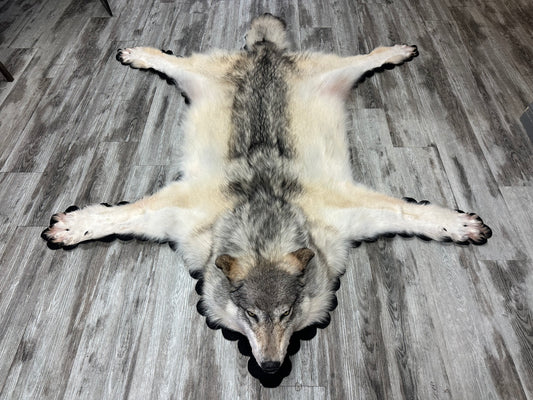 Rug - Arctic Wolf #16178