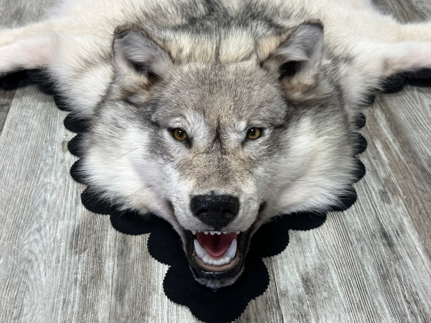 Rug - Arctic Wolf #16216