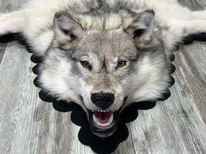 Rug - Arctic Wolf #16216