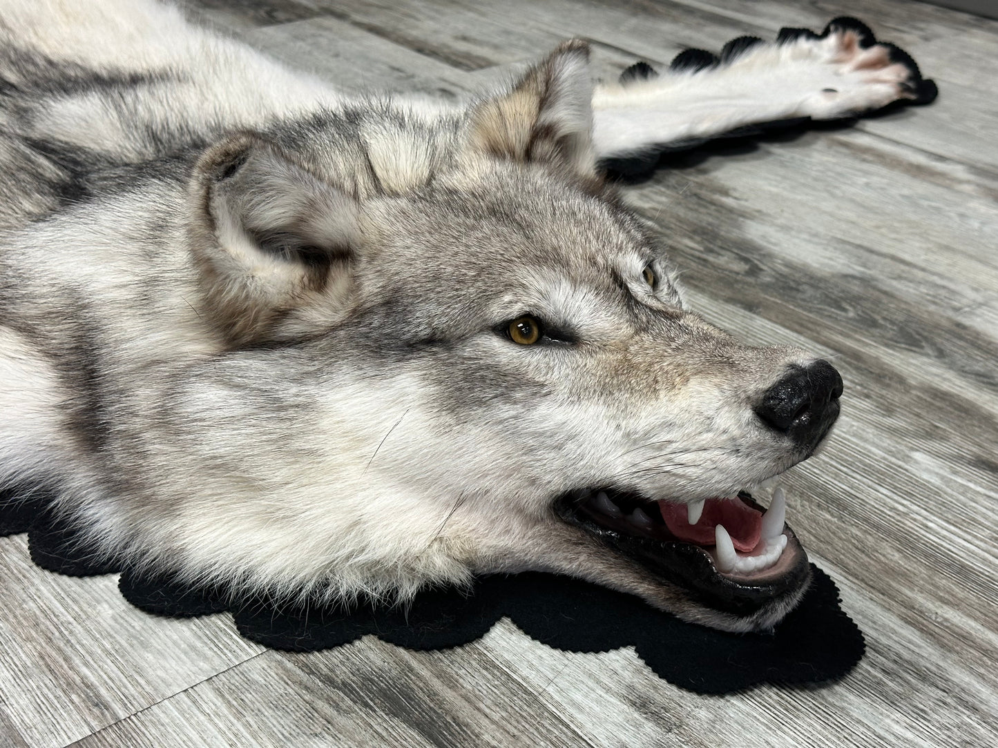 Rug - Arctic Wolf #16216