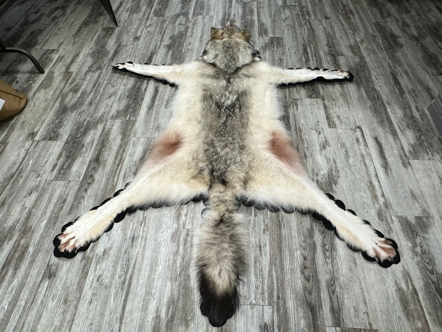 Rug - Arctic Wolf #16216