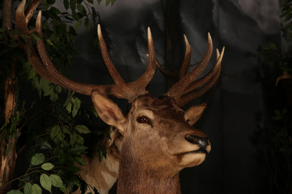 MOUNTS - RED STAG