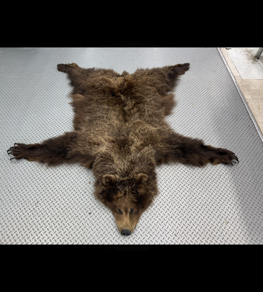 Dressed Skin - Grizzly #32576