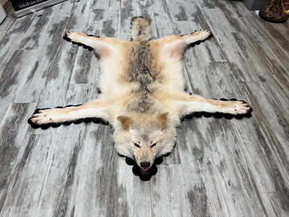 Tapis - Loup Arctique #19277