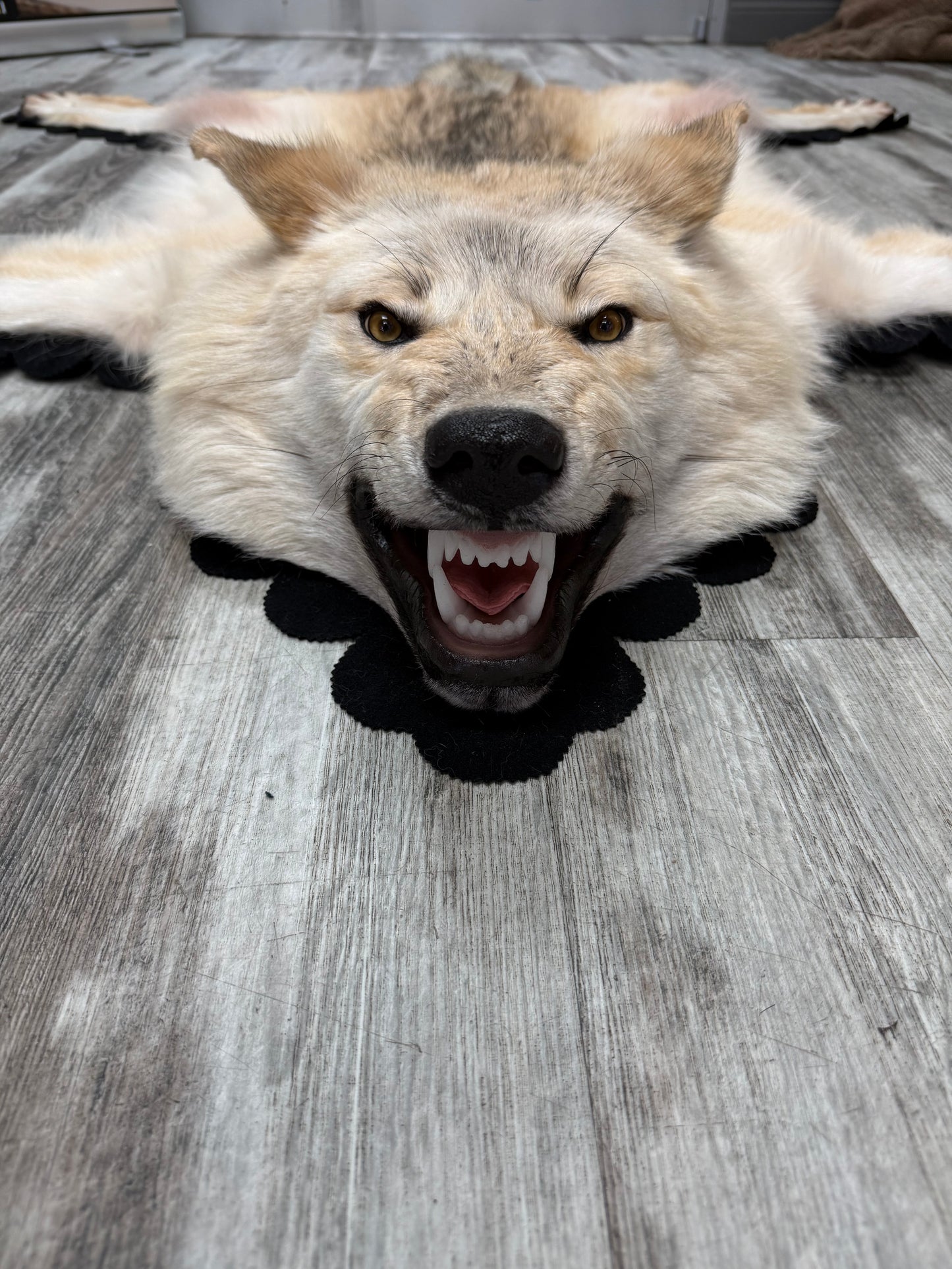 Tapis - Loup Arctique #19277