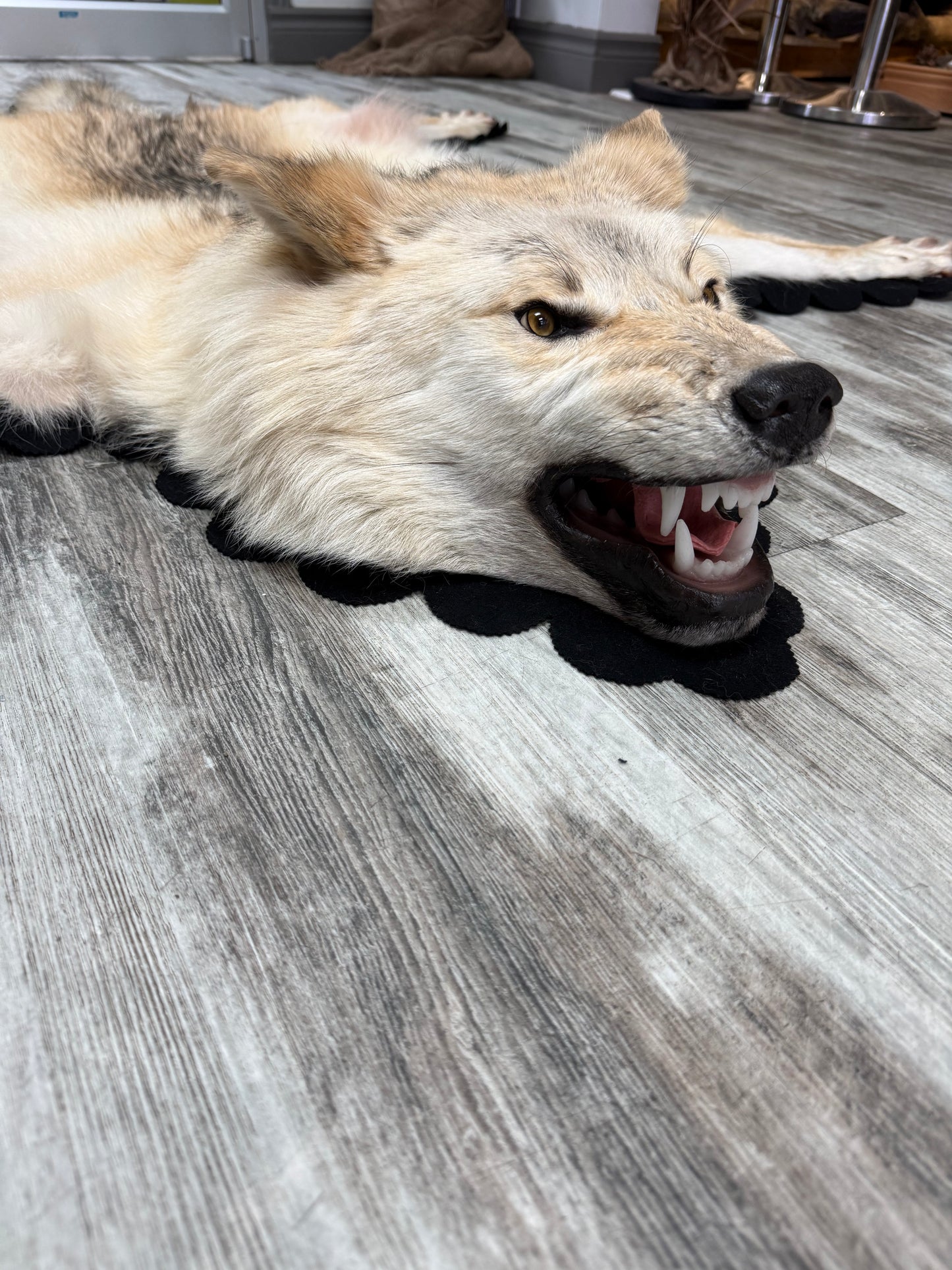 Tapis - Loup Arctique #19277