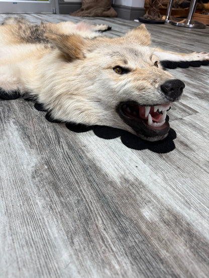 Tapis - Loup Arctique #19277