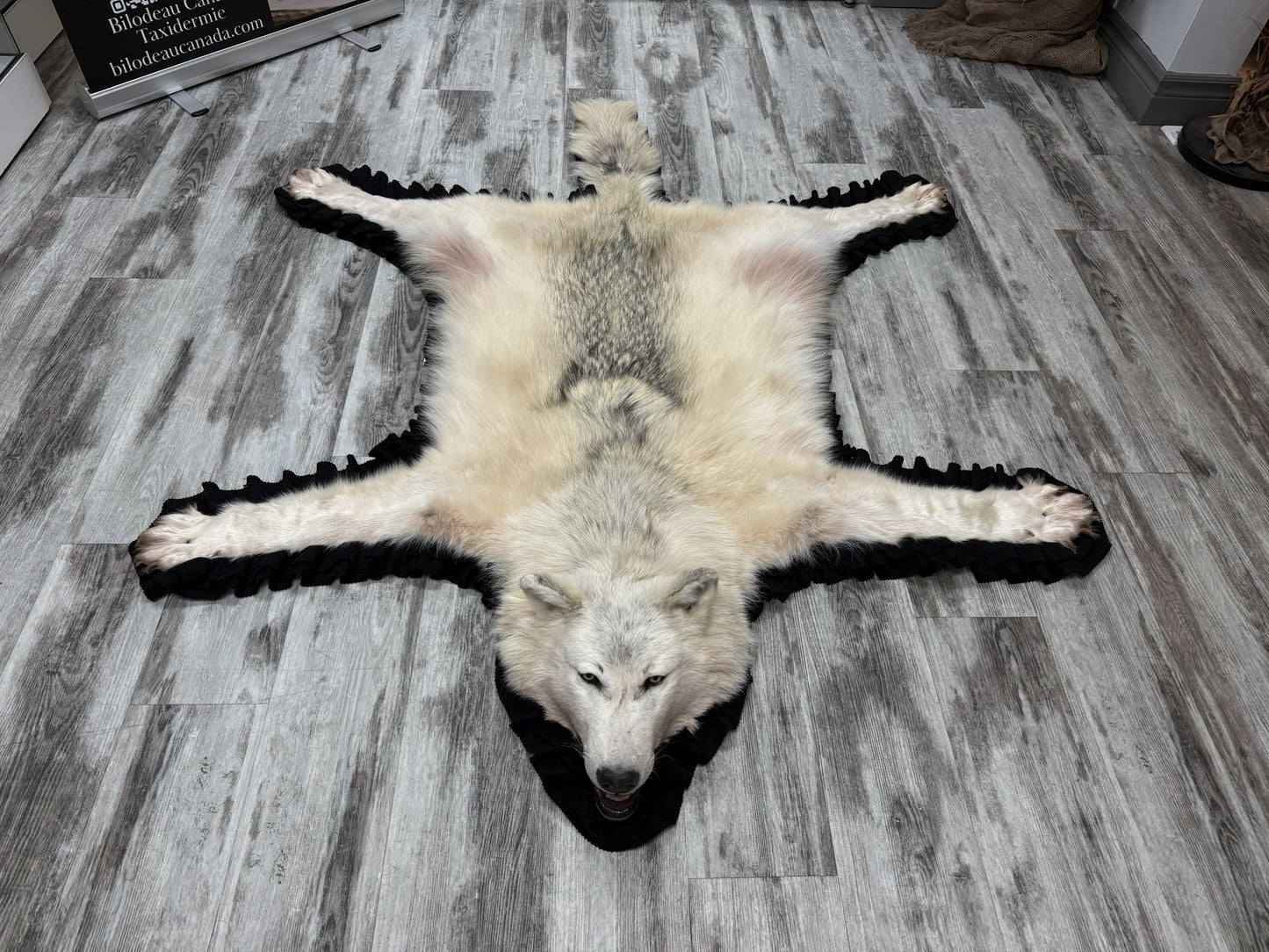 Tapis - Loup #15692