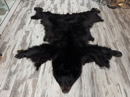 Peau - Ours noir #2236928-01