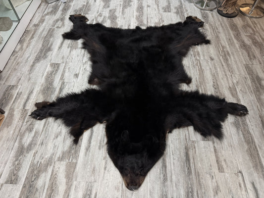 Dressed Skin - Black Bear #2236928-01
