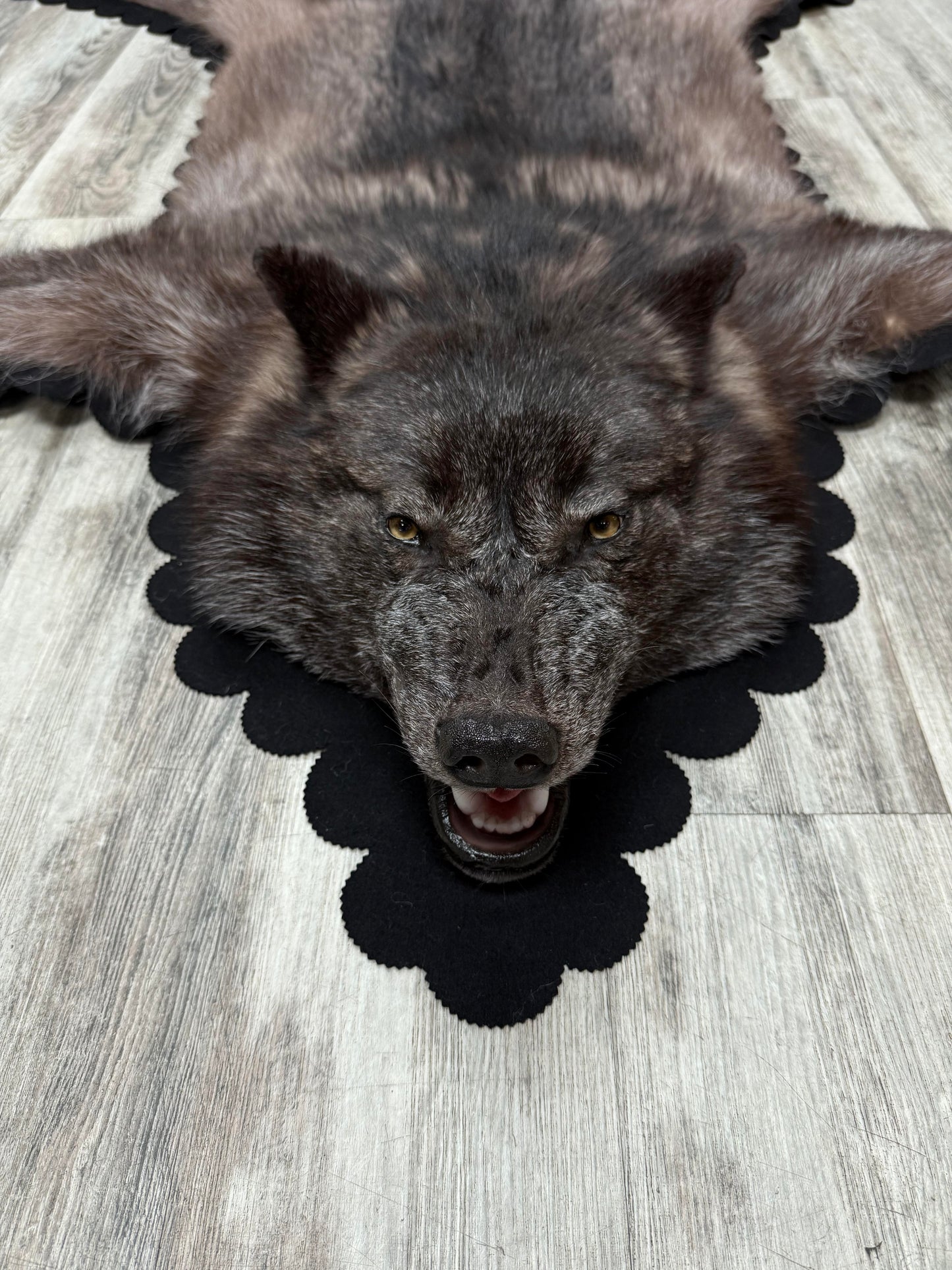 Tapis - Loup Noir #23480