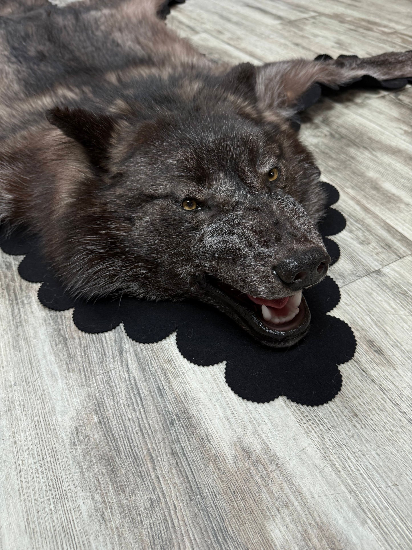 Tapis - Loup Noir #23480