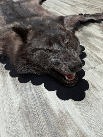 Tapis - Loup Noir #23480
