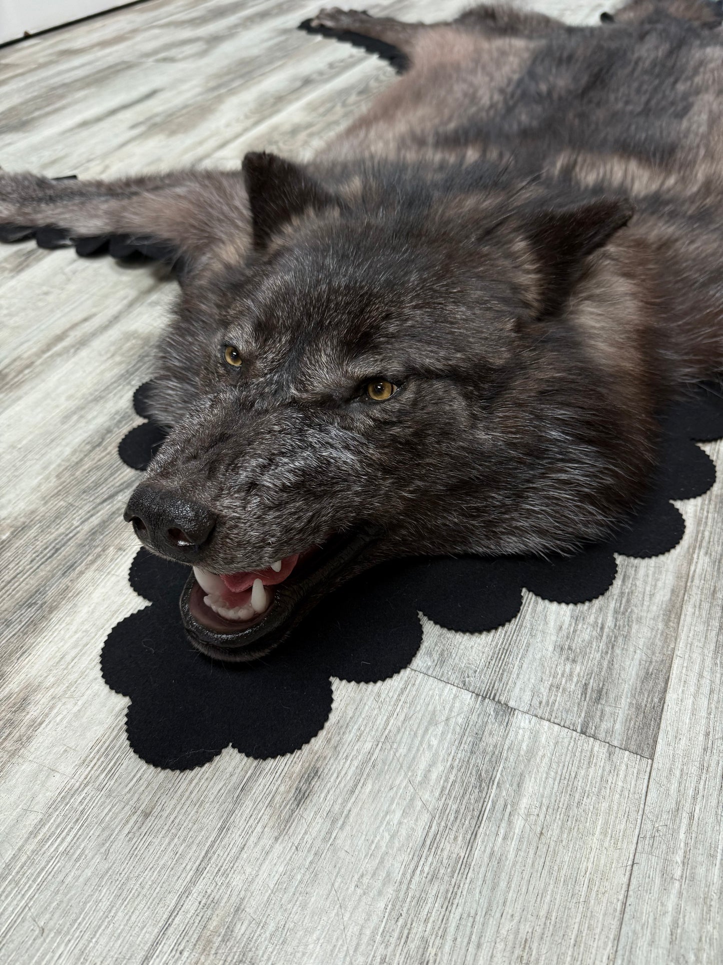 Tapis - Loup Noir #23480