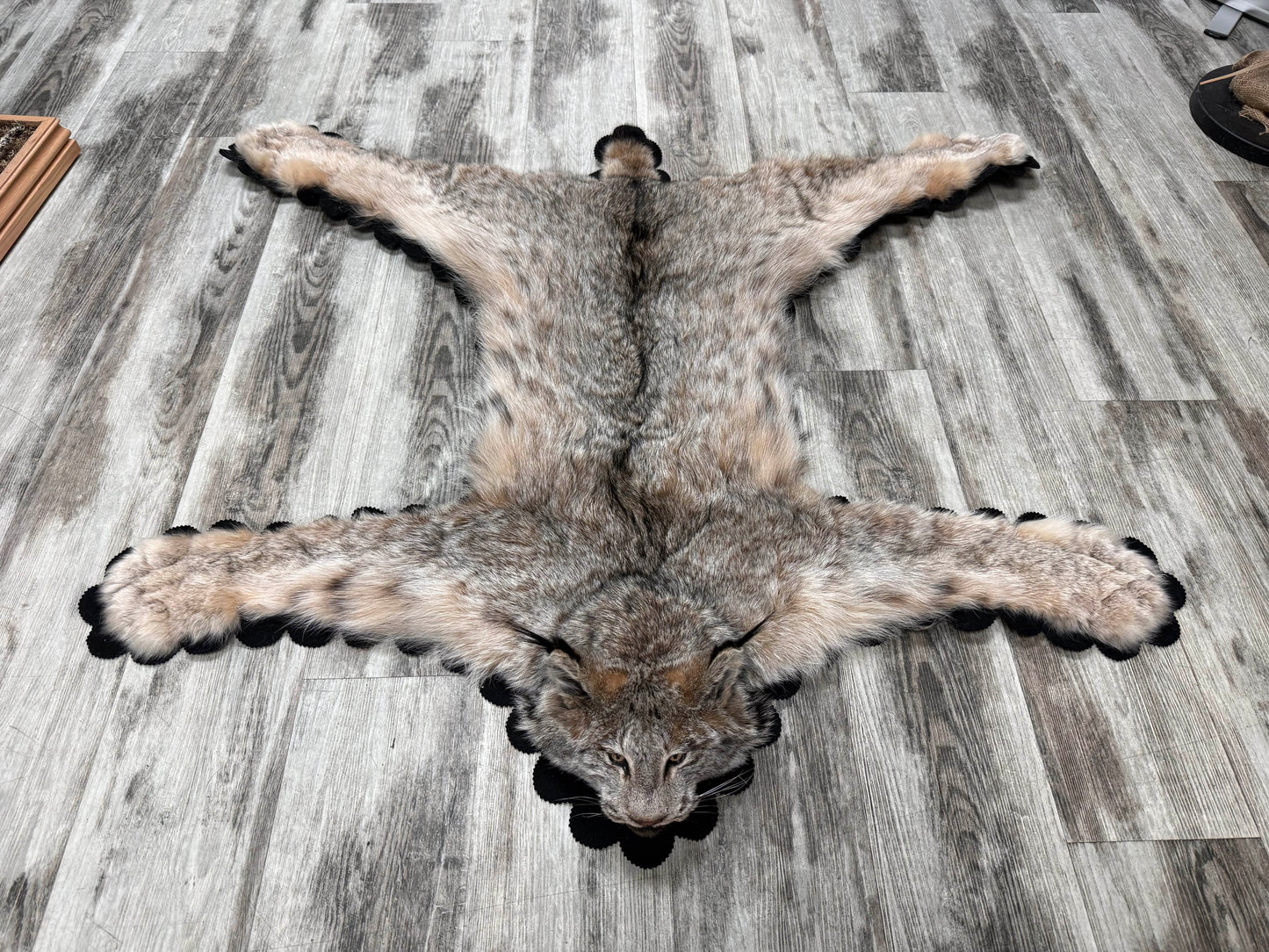 Rug - Canadian Lynx #23489
