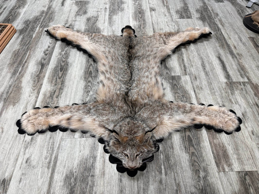 Tapis - Lynx #23489