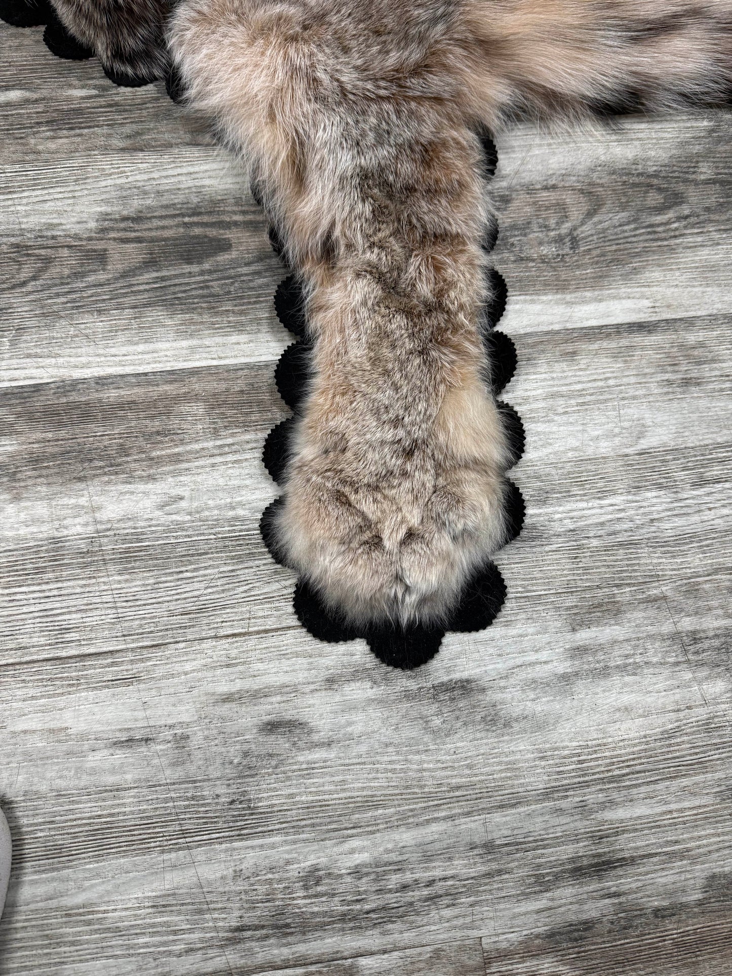 Rug - Canadian Lynx #23489