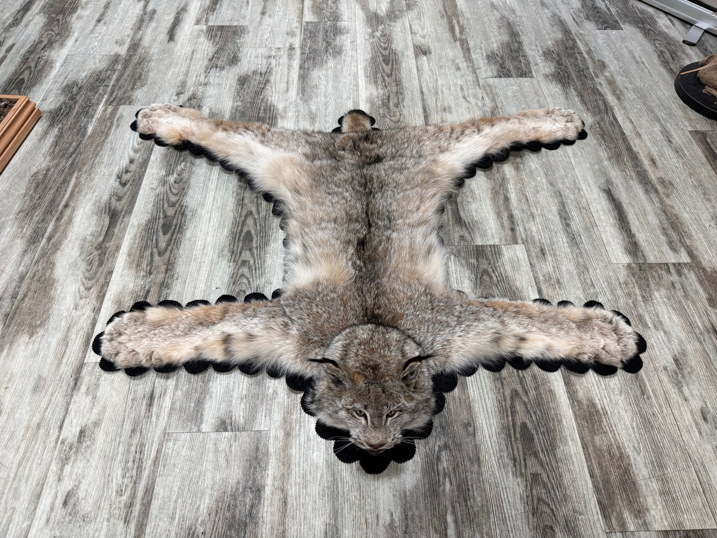 Rug - Canadian Lynx #23490