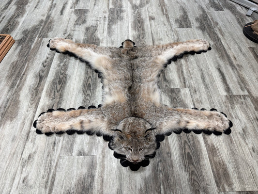 Tapis - Lynx #23490