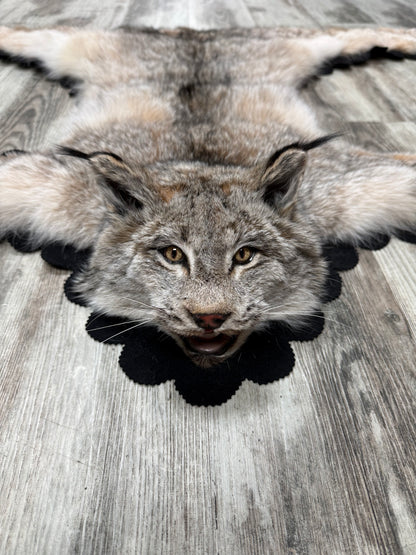 Rug - Canadian Lynx #23490