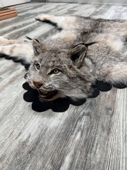 Rug - Canadian Lynx #23490