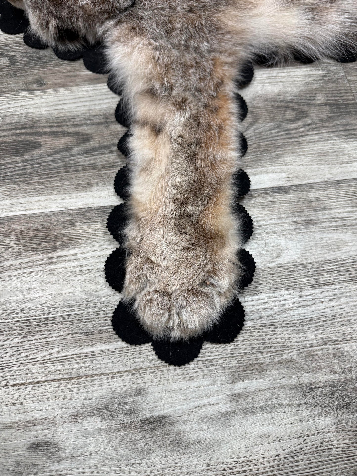 Rug - Canadian Lynx #23490