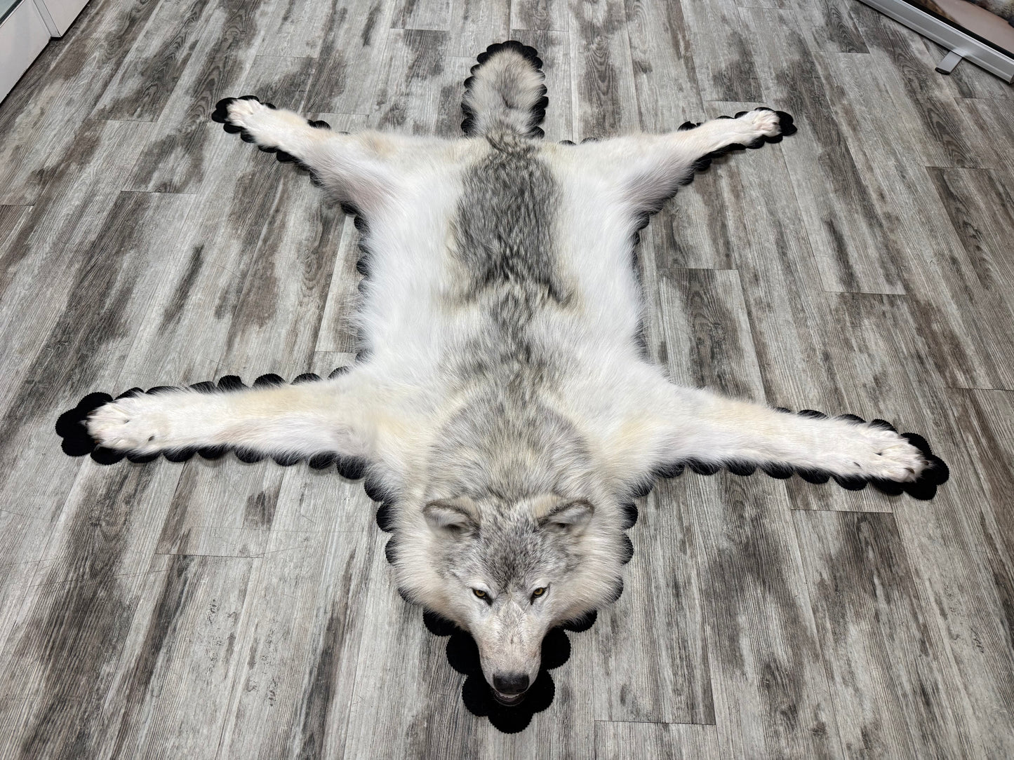 Rugs - Arctic Wolf #23710