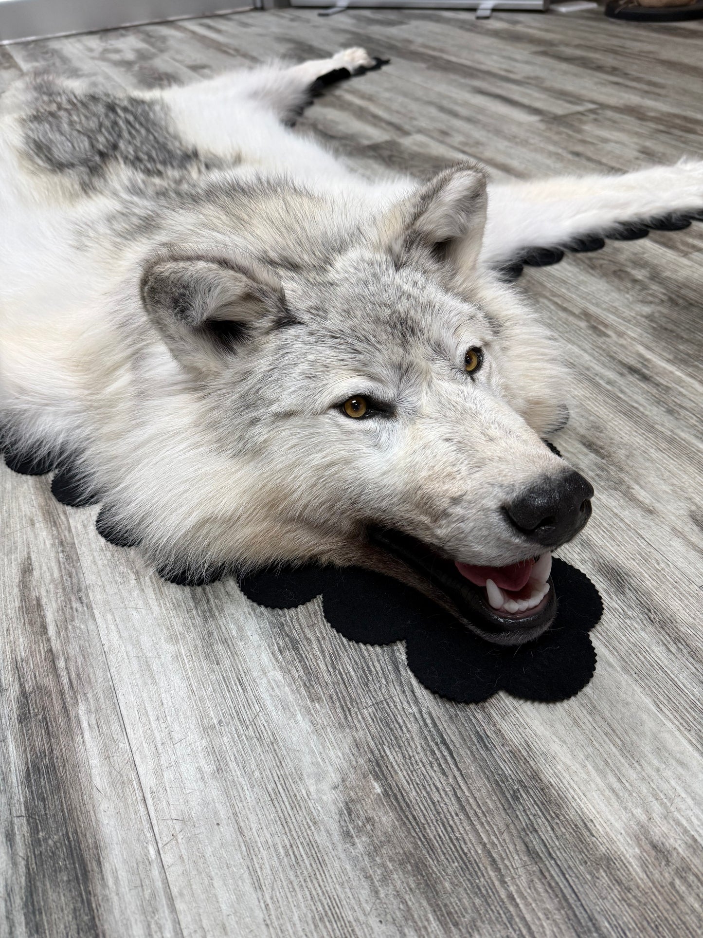 Rugs - Arctic Wolf #23710